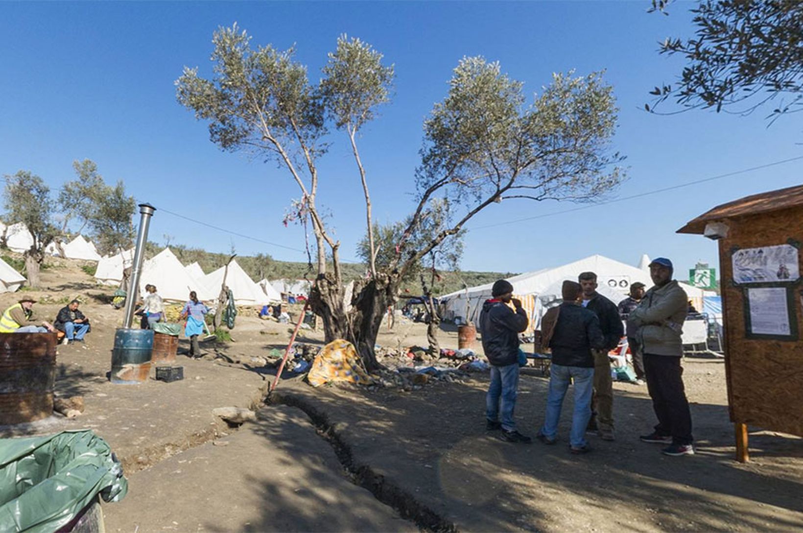 the-plight-of-refugees-image